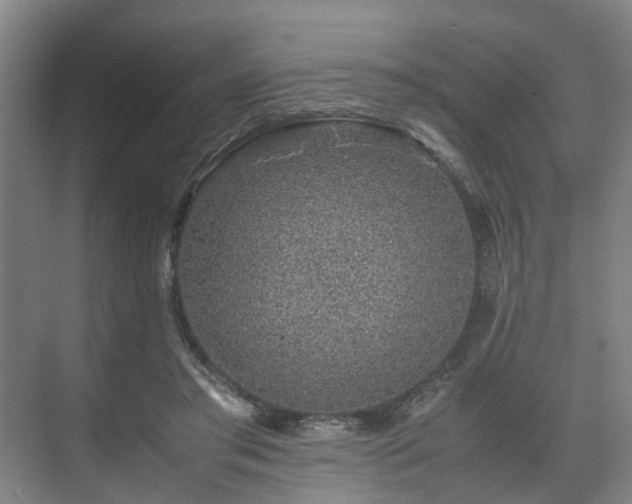 X0000071950405200607141504