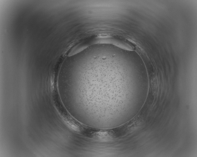 X0000071950406200607141504