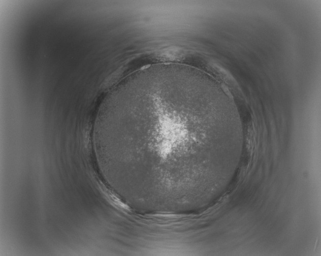 X0000071950409200607141504