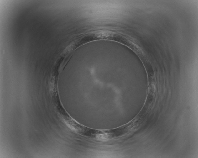 X0000071950411200607141504