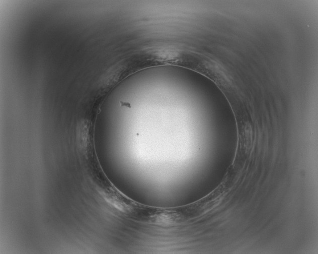 X0000071950412200607141504