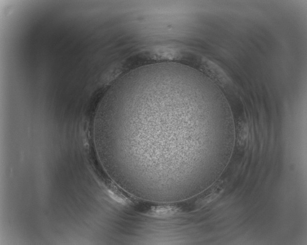 X0000071950414200607141504