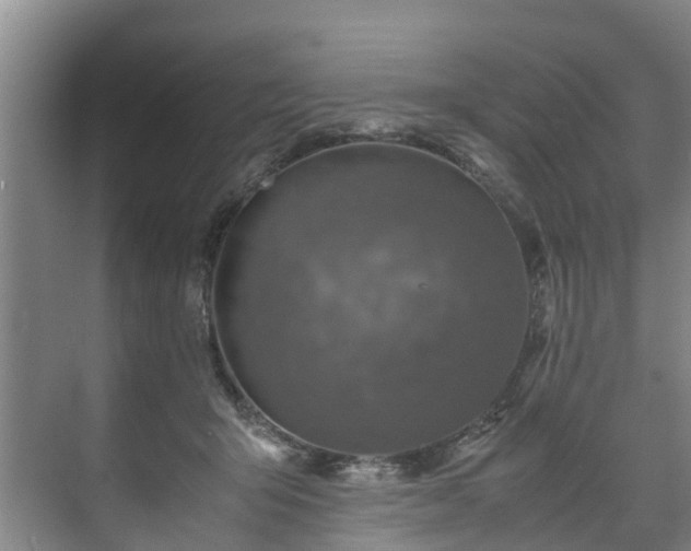 X0000071950415200607141504