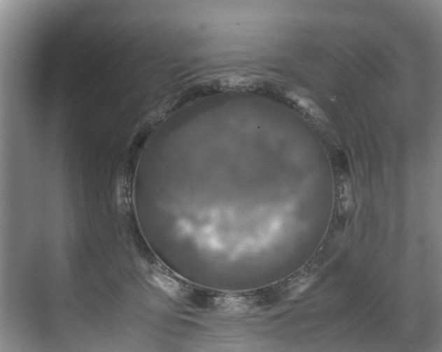 X0000071950419200607141504