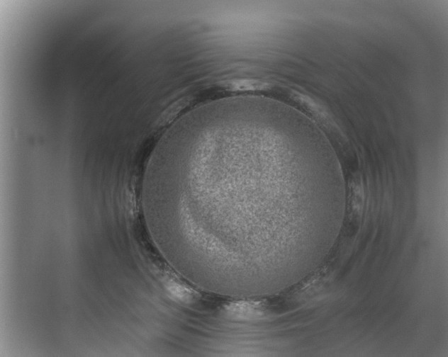 X0000071950422200607141504