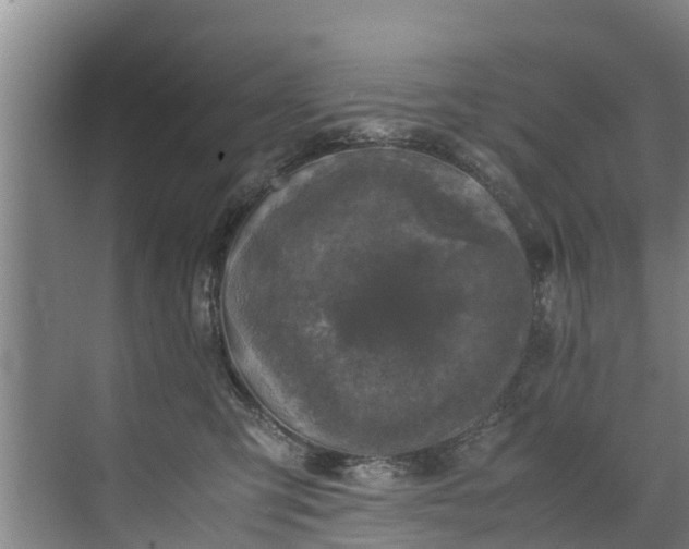 X0000071950423200607141504