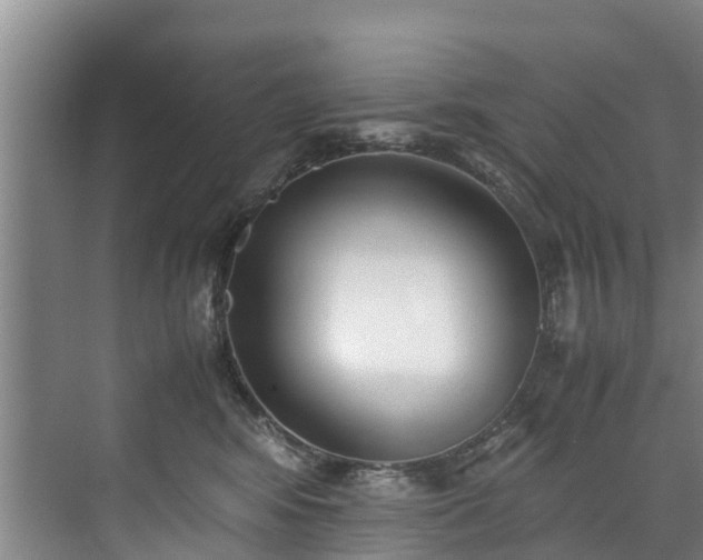 X0000071950424200607141504