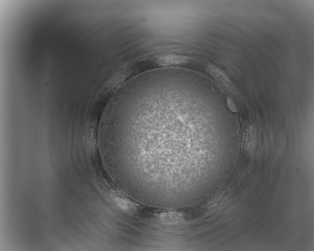 X0000071950426200607141504