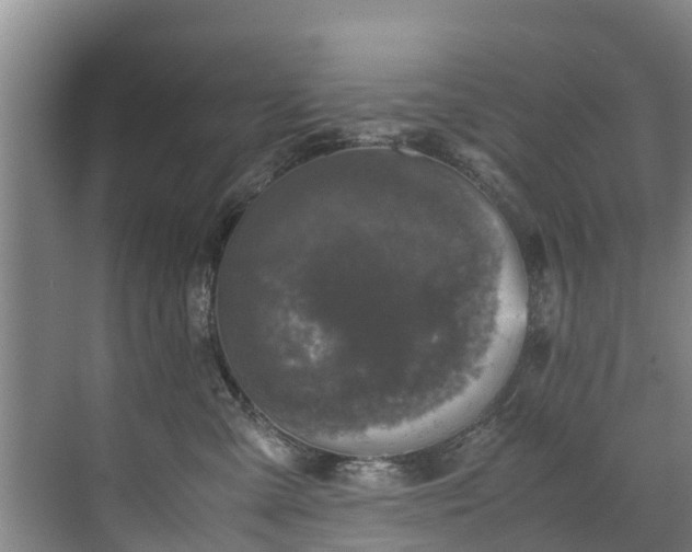 X0000071950427200607141504