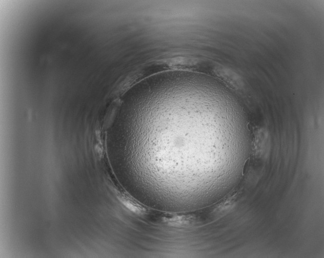 X0000071950430200607141504