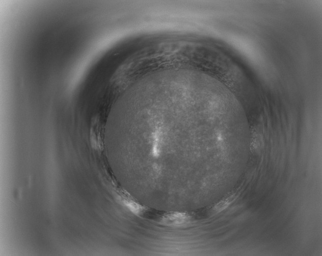 X0000071950431200607141504