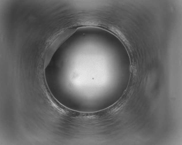 X0000071950433200607141503