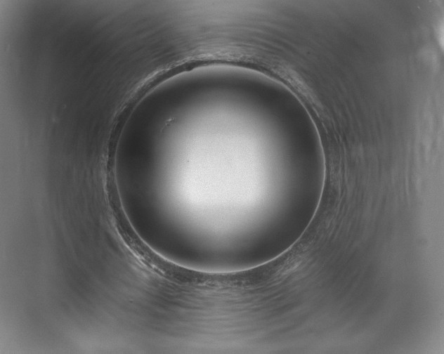 X0000071950434200607141503