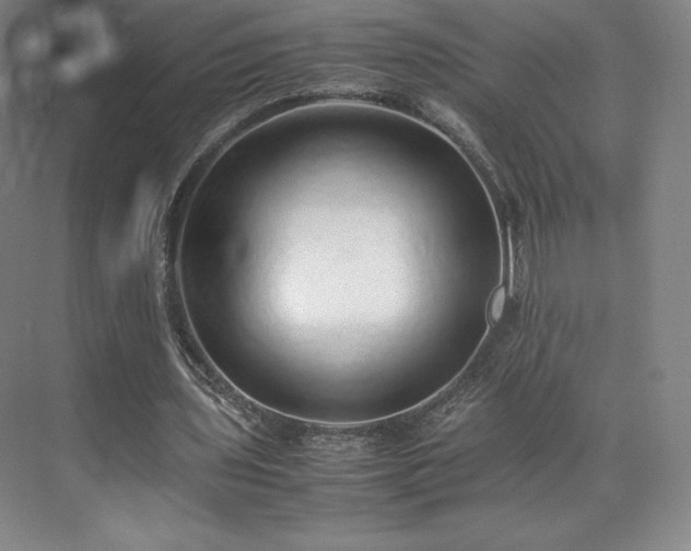 X0000071950435200607141503