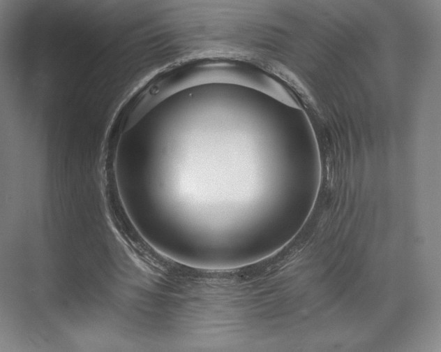 X0000071950436200607141503