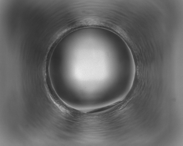 X0000071950438200607141503