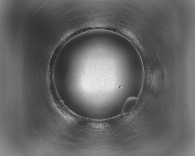 X0000071950439200607141503