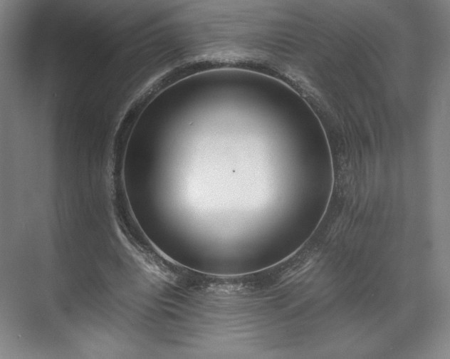 X0000071950440200607141503