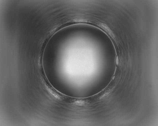 X0000071950441200607141503