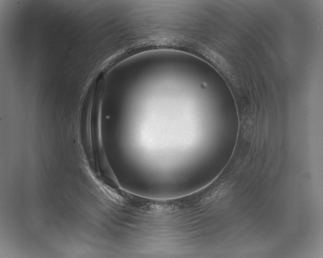 X0000071950442200607141503