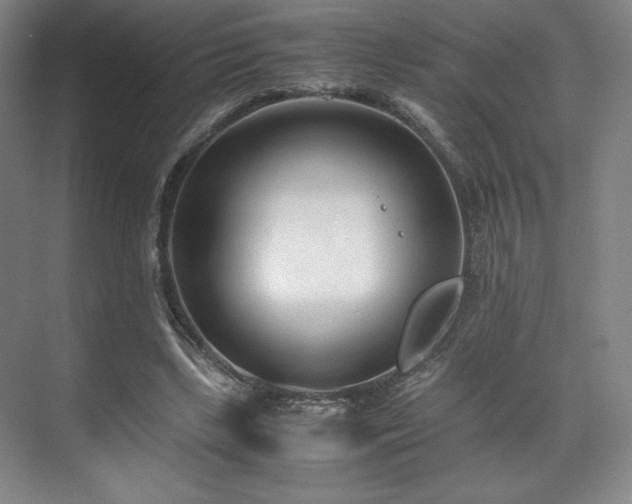 X0000071950443200607141503