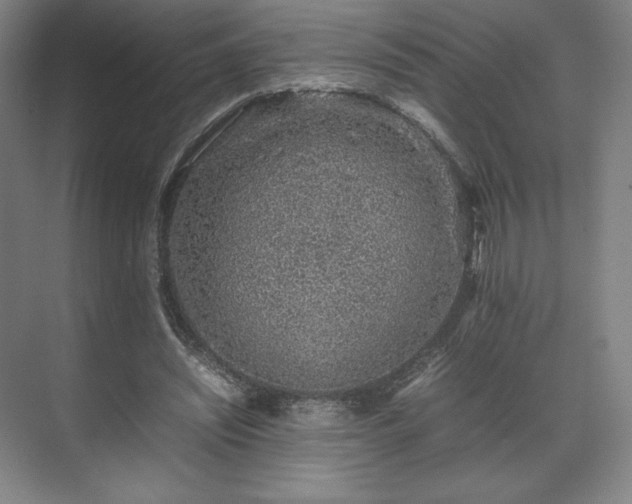 X0000071950444200607141503