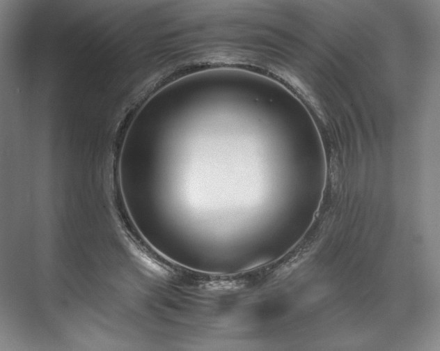 X0000071950445200607141503