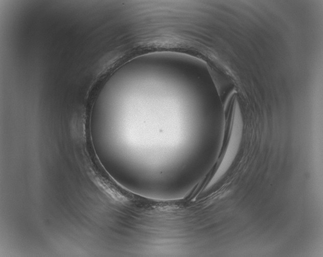 X0000071950446200607141503