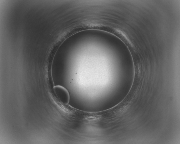 X0000071950447200607141503