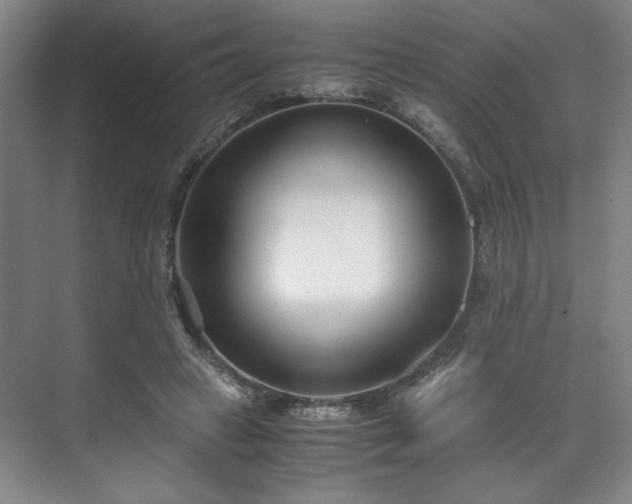 X0000071950449200607141503