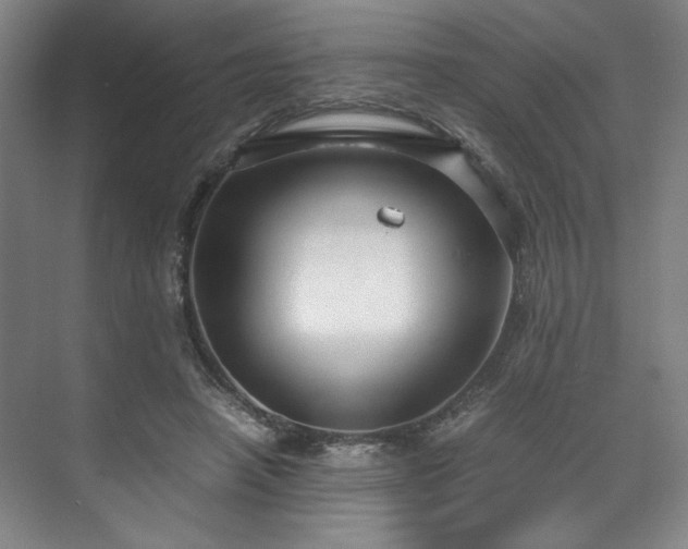 X0000071950450200607141503