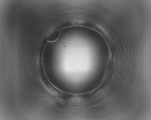 X0000071950451200607141503