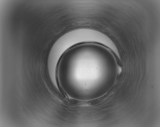 X0000071950456200607141503