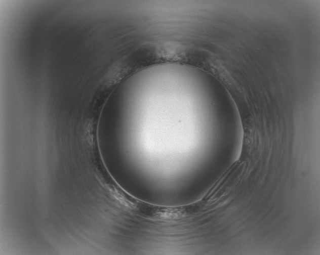 X0000071950466200607141503