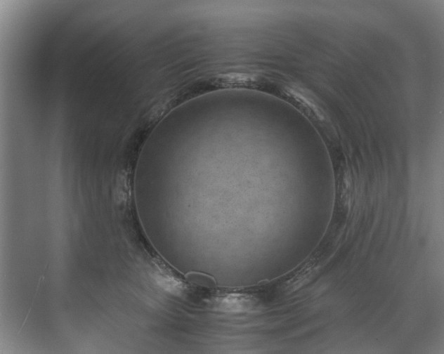 X0000071950467200607141503