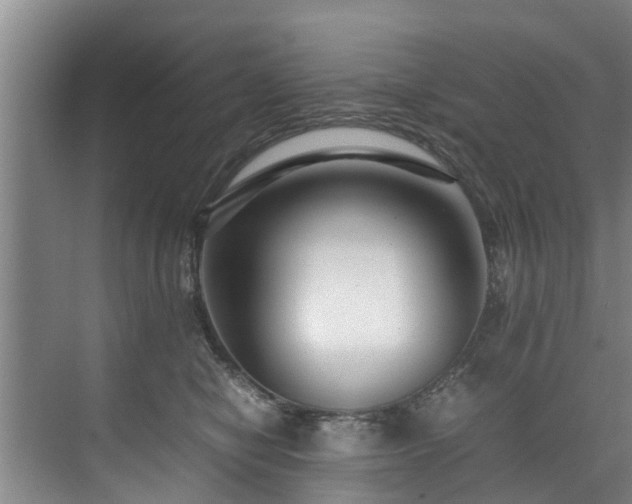 X0000071950470200607141503