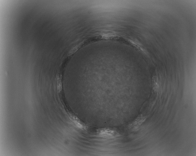 X0000071950471200607141503