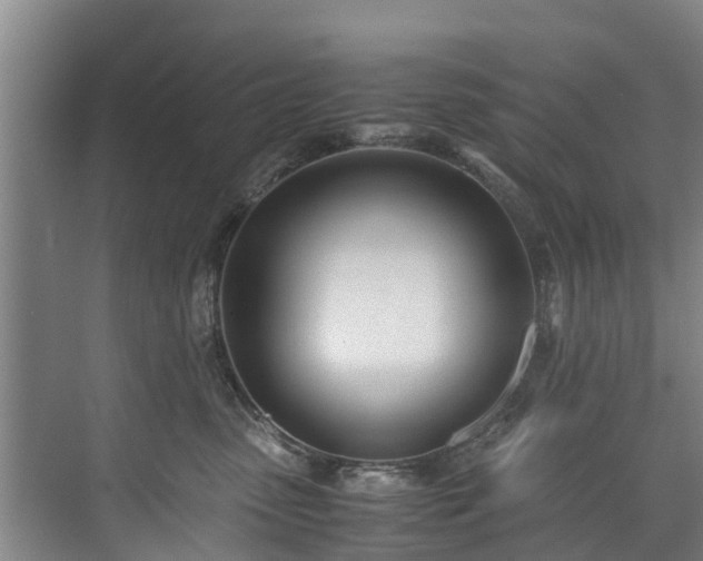 X0000071950475200607141503