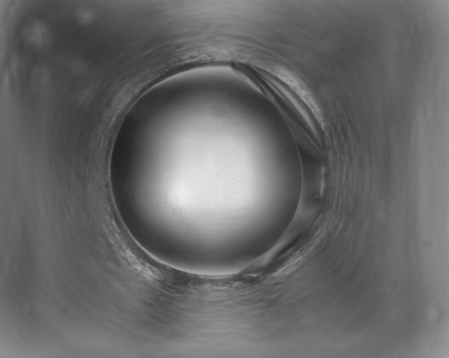 X0000071950481200607141503