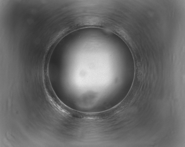 X0000071950482200607141503