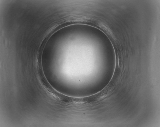 X0000071950483200607141503