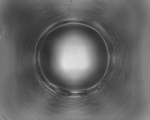 X0000071950484200607141503