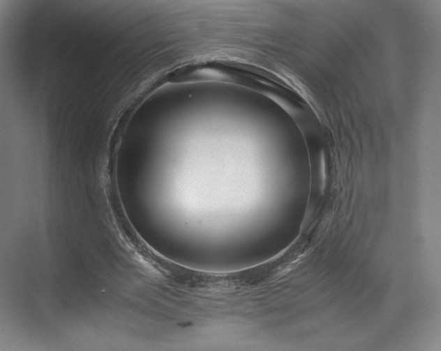 X0000071950485200607141503