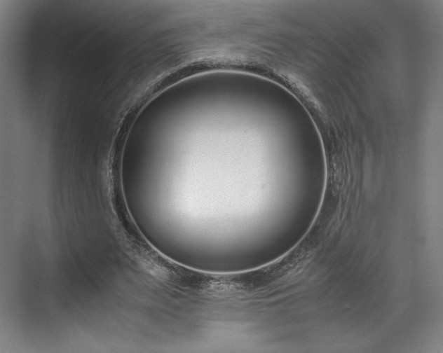 X0000071950487200607141503