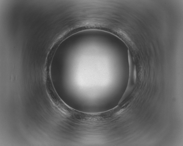 X0000071950488200607141503