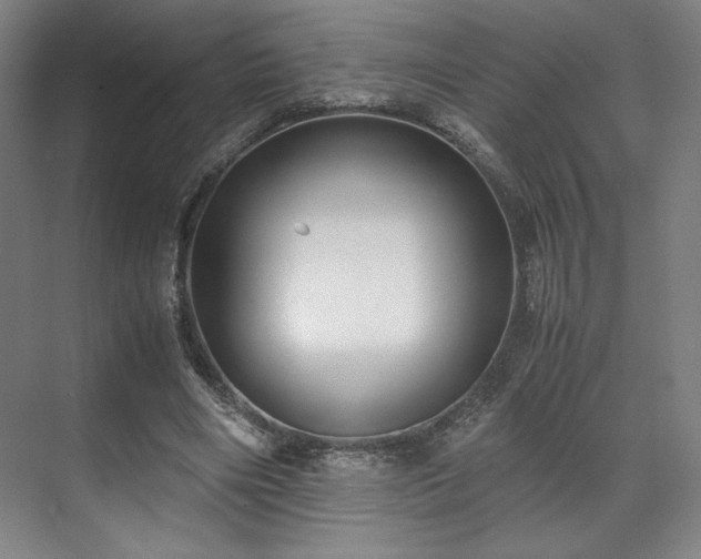 X0000071950490200607141503