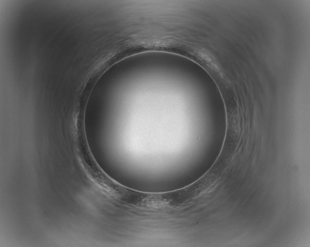 X0000071950491200607141503