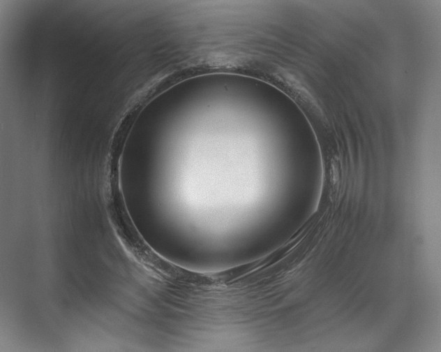 X0000071950492200607141503