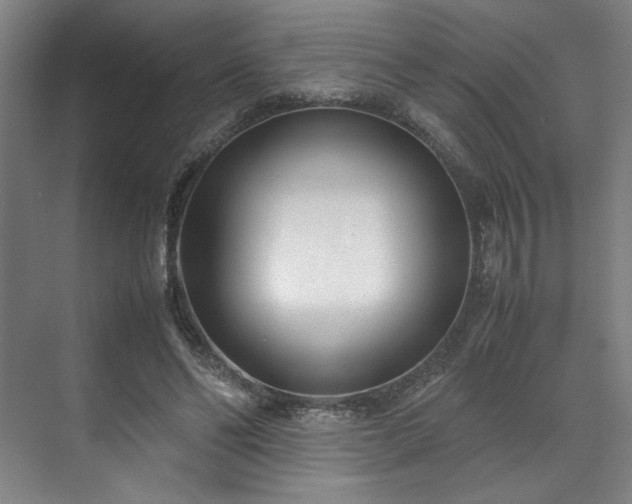 X0000071950494200607141503