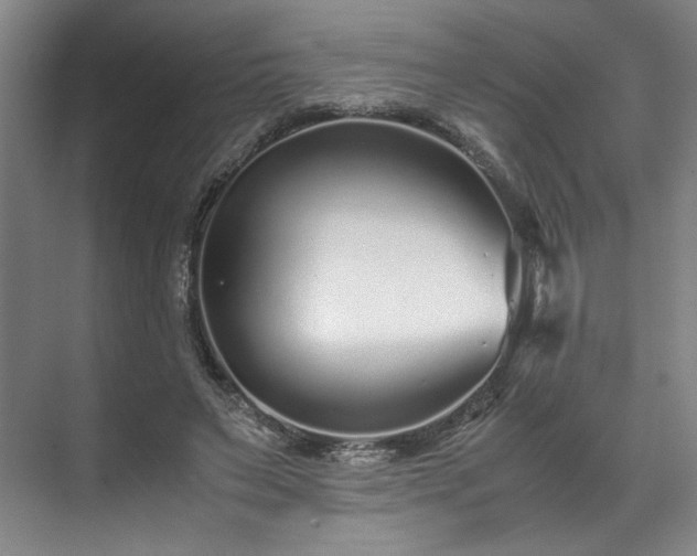 X0000071950495200607141503